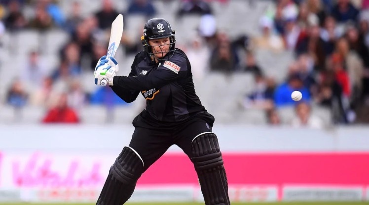 Lizelle Lee - 14 Sixes Lizelle Lee - 14 Sixes