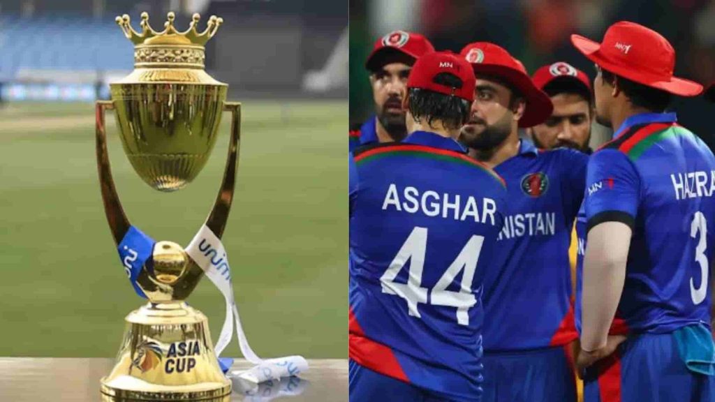 MS Dhoni Asia Cup Stats Records Performance 2026 Updated MS Dhoni Asia Cup Stats Records Performance 2026 Updated